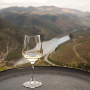 Douro wine tasting