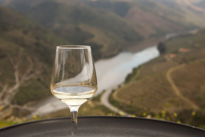 Douro wine tasting
