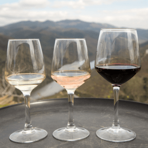 douro wine tour