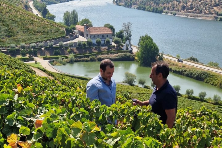 Two men talking in a vineyard with a river and hills in the background.