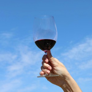 Hand holding a glass of red wine against a clear blue sky.