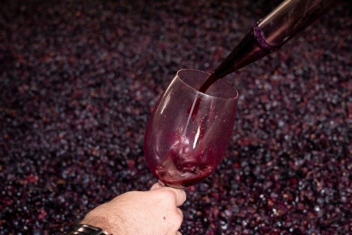 Armamar wine tasting