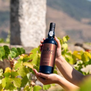 Armamar wine tasting