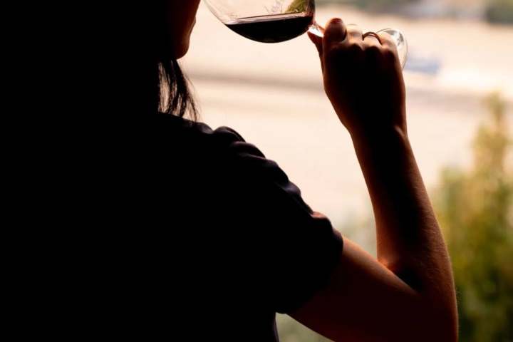 Armamar wine tasting