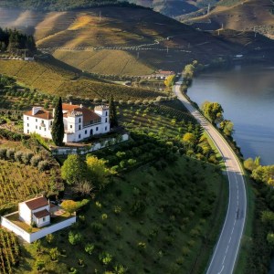 Armamar wine tasting