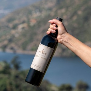 Armamar wine tasting