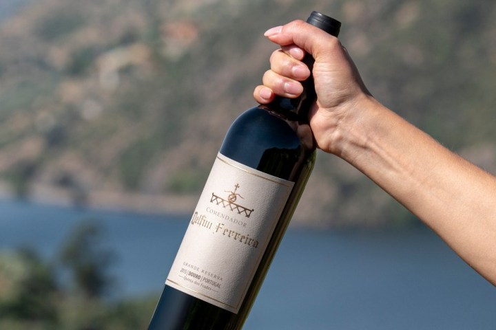 Armamar wine tasting