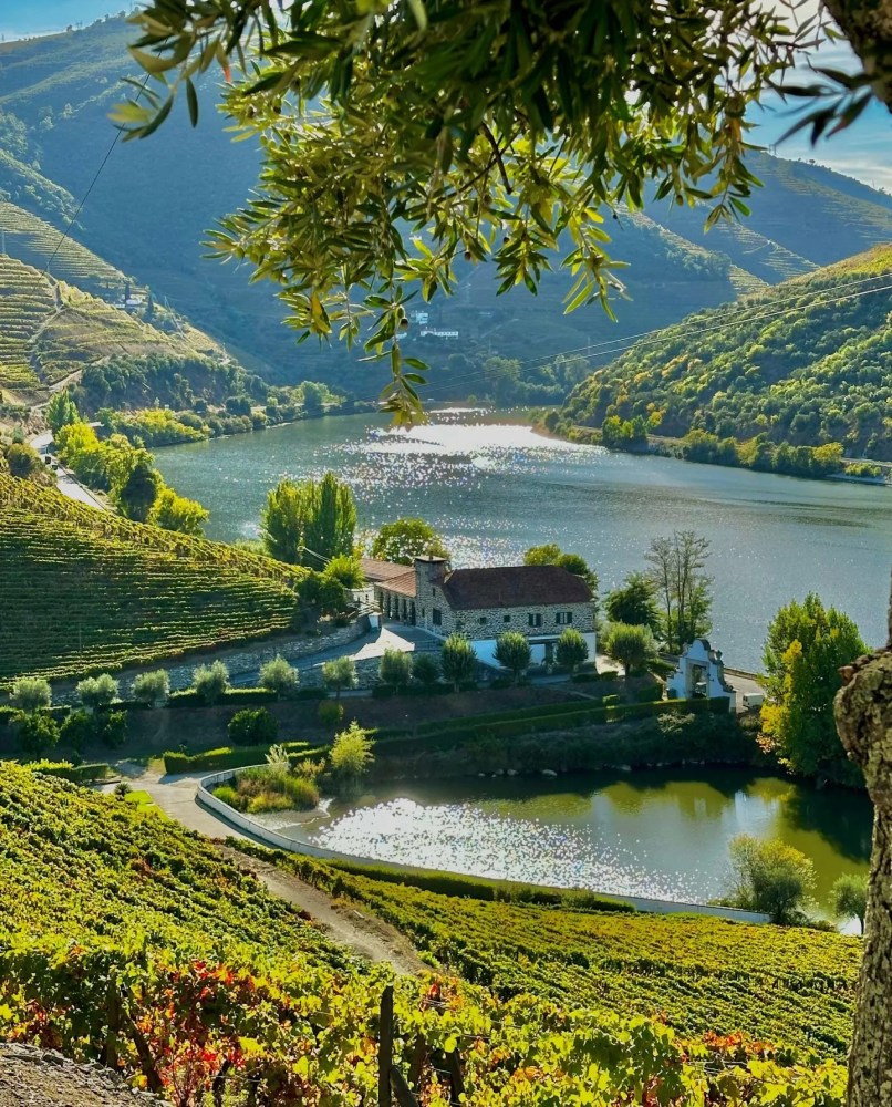 Armamar wine tasting