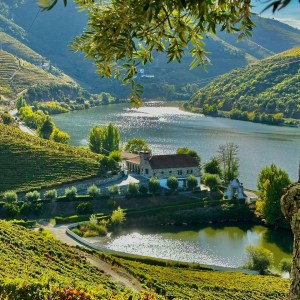 Armamar wine tasting