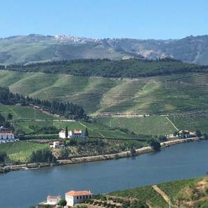 douro Wine tour