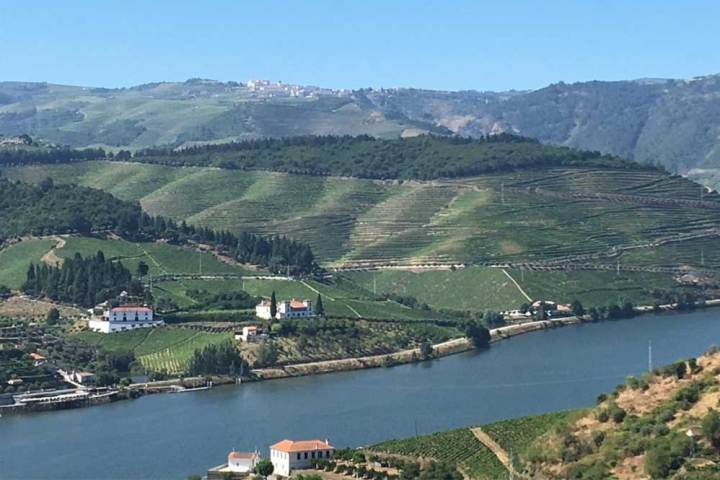 douro Wine tour