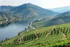 douro wine tour