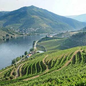 douro wine tour