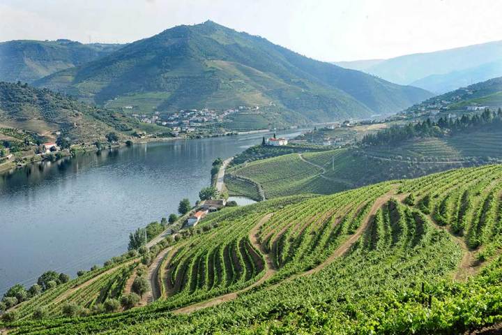 douro wine tour