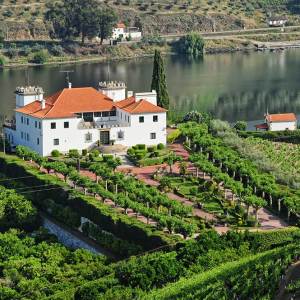 douro wine tour