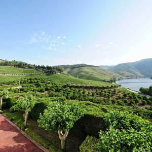 douro wine tour