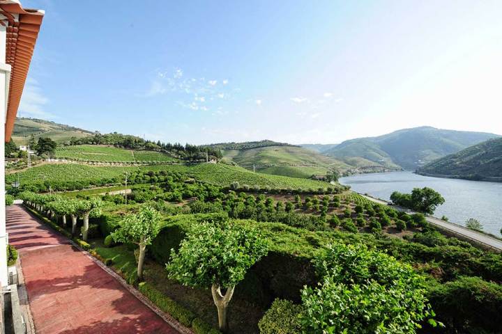 douro wine tour