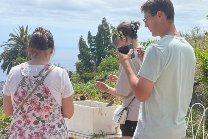 a group of people looking at a cell phone
