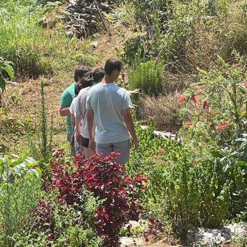 a person sitting in a garden