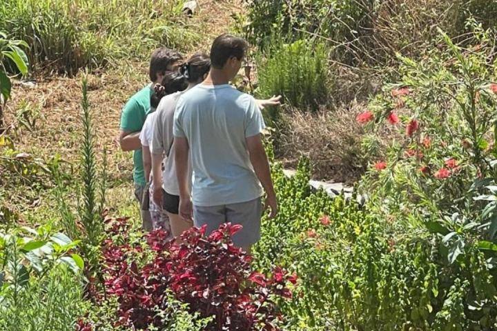 a person sitting in a garden