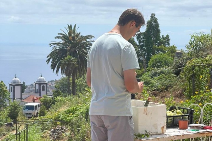 a man standing in front of a tree