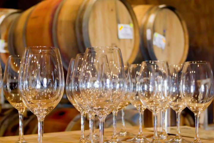 gold wine tour in lisbon