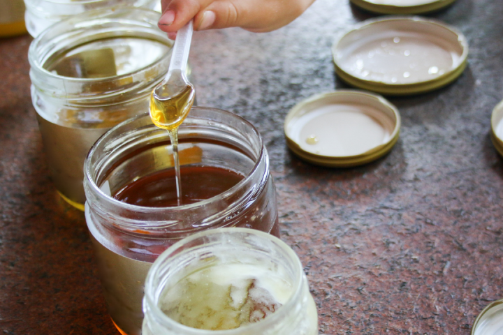 beekeeping experience