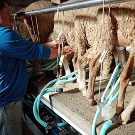 a man standing on top of rope