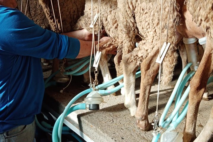 a man standing on top of rope