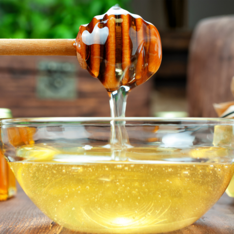 beekeeping experience