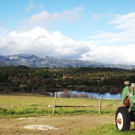 a tractor in a field with a mountain in the background