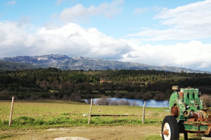 a tractor in a field with a mountain in the background