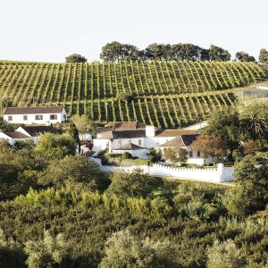 wine tasting in Mafra