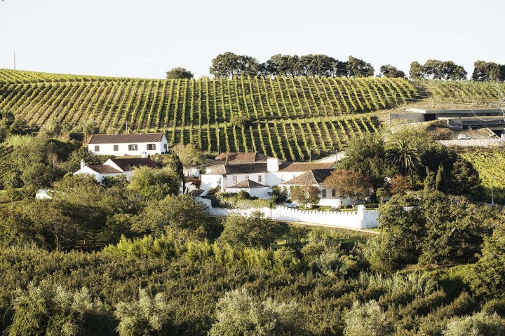 wine tasting in Mafra