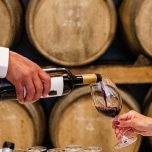 wine tasting in Mafra