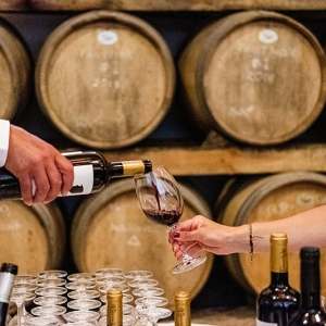 wine tasting in Mafra