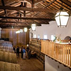 wine tasting in Mafra