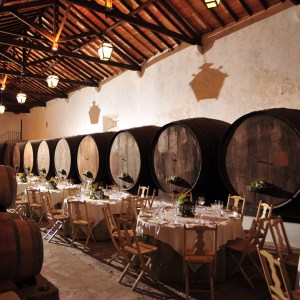 wine tasting in Mafra