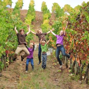 wine tasting in Mafra