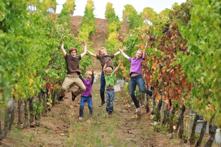 wine tasting in Mafra