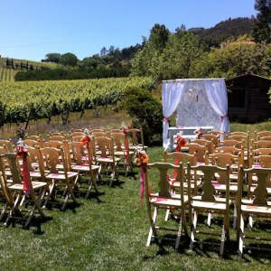 wine tasting in Mafra