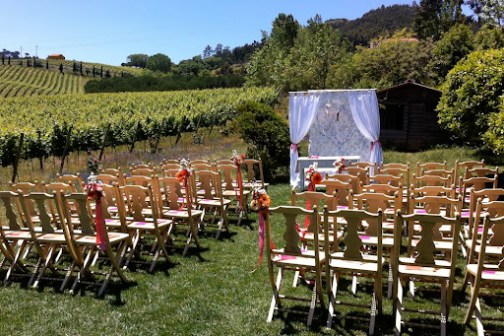 wine tasting in Mafra