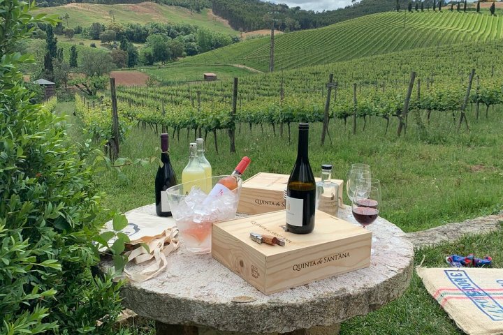 wine tasting in Mafra