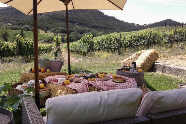 wine tasting in Mafra