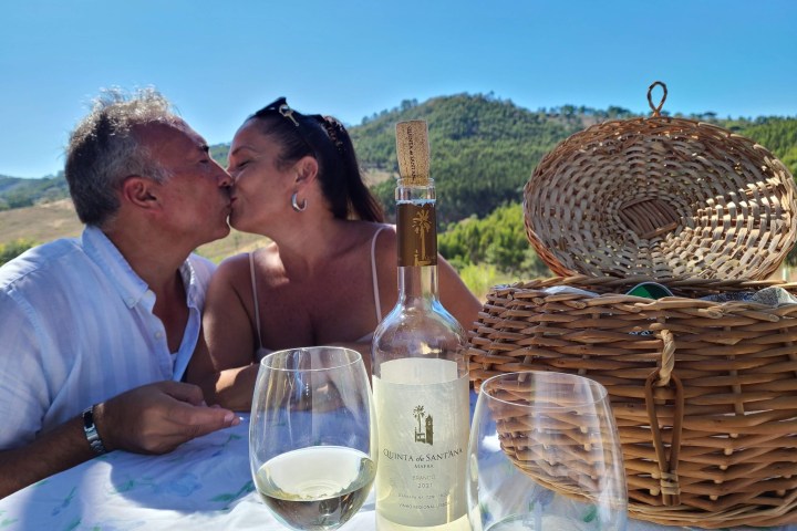 a person holding a glass of wine