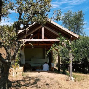 a tree in front of a house