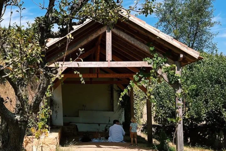 a tree in front of a house
