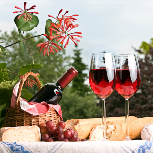 picnic with wine