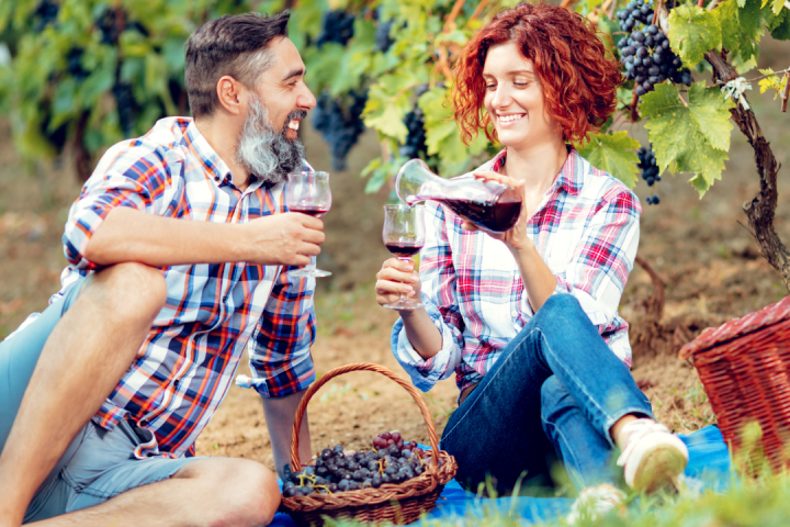 picnic with wine