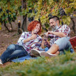 picnic with wine